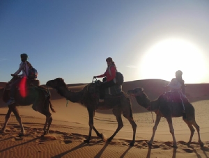  Tour from Agadir to desert