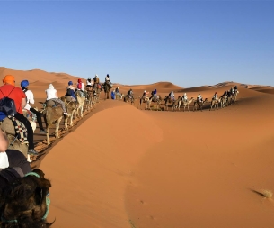 Tours from Agadir