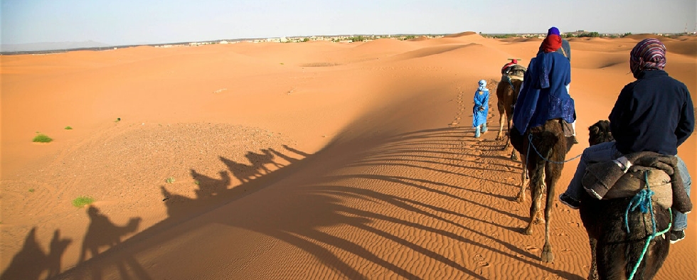 Tour from Rabat