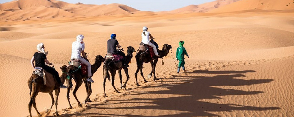 Tour from Marrakech