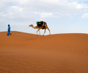 Tours from Agadir