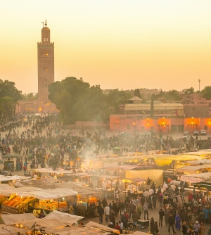 Marrakech excursions