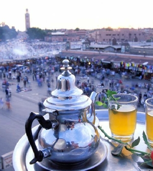 Marrakech excursions