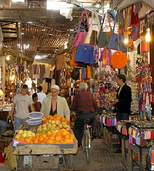 Marrakech excursions