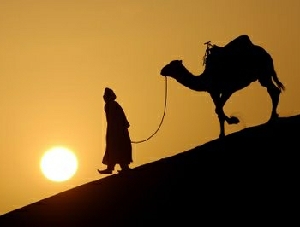  Tour from Agadir to desert