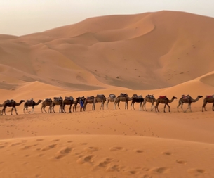 Morocco Treasure Travel,private tours to Sahara desert