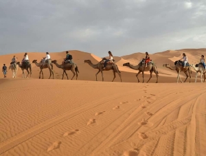 Morocco Treasure Travel,private tours to Sahara desert