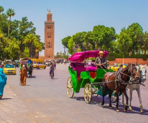 Excursion from Marrakech