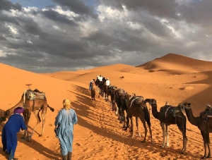 Morocco Treasure Travel,private tours to Sahara desert