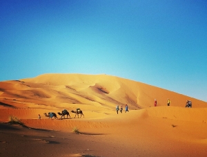 Morocco Treasure Travel,private tours to Sahara desert