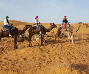 Morocco Treasure Travel,private tours to Sahara desert