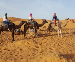 Morocco Treasure Travel,private tours to Sahara desert