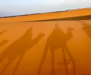 Morocco Treasure Travel,private tours to Sahara desert