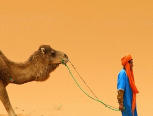 Morocco Treasure Travel,private tours to Sahara desert