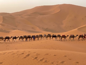 Morocco Treasure Travel,private tours to Sahara desert