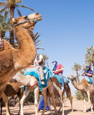 Best Activities in Marrakech