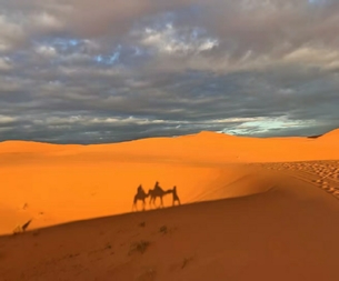 Morocco Treasure Travel,private tours to Sahara desert