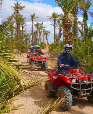 Best Activities in Marrakech