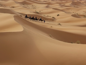 Morocco Treasure Travel,private tours to Sahara desert