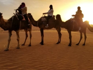 Morocco Treasure Travel,private tours to Sahara desert