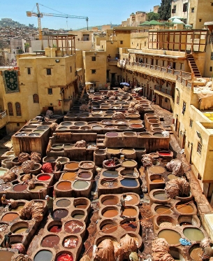 Activities to Do in Fes city