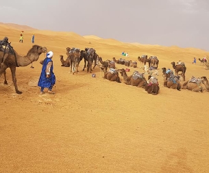 Morocco Treasure Travel,private tours to Sahara desert