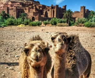 Morocco Treasure Travel,private tours to Sahara desert