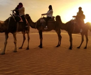 Morocco Treasure Travel,private tours to Sahara desert