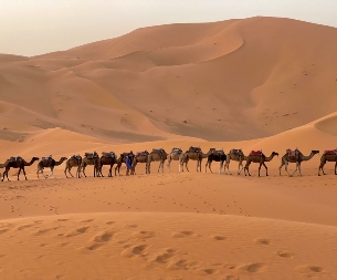 Morocco Treasure Travel,private tours to Sahara desert