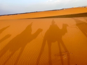 Morocco Treasure Travel,private tours to Sahara desert